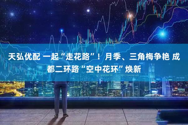 天弘优配 一起“走花路”！月季、三角梅争艳 成都二环路“空中花环”焕新