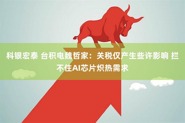 科银宏泰 台积电魏哲家：关税仅产生些许影响 拦不住AI芯片炽热需求
