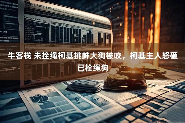 牛客栈 未拴绳柯基挑衅大狗被咬，柯基主人怒砸已栓绳狗