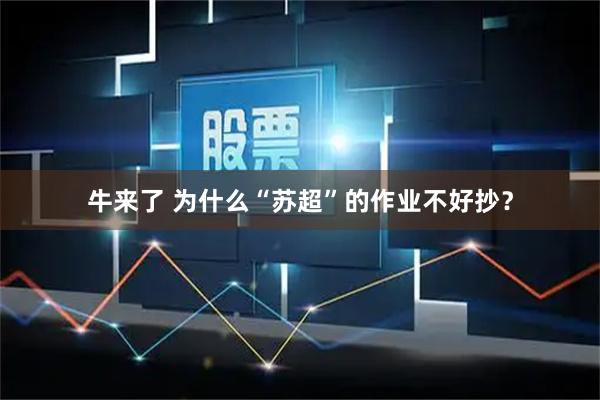 牛来了 为什么“苏超”的作业不好抄？
