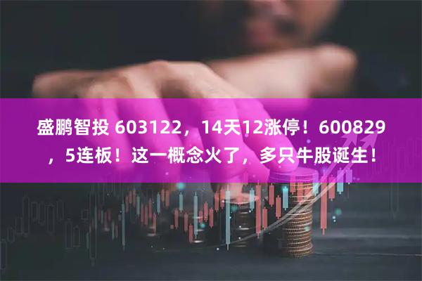 盛鹏智投 603122，14天12涨停！600829，5连板！这一概念火了，多只牛股诞生！